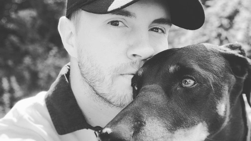 "Herz ist gebrochen": Joey Heindle trauert um seine Hündin