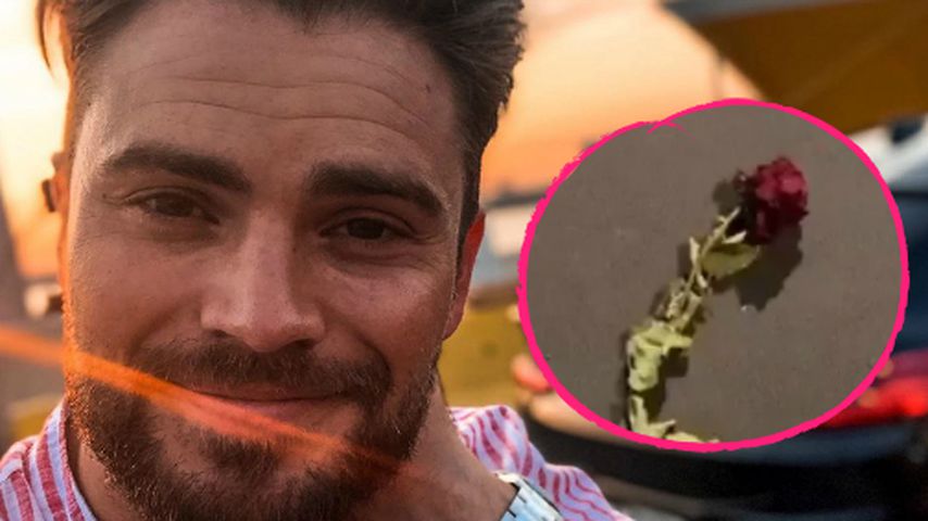 Liebes-Outing: Zeigt Johannes hier Jessis Bachelorette-Rose?