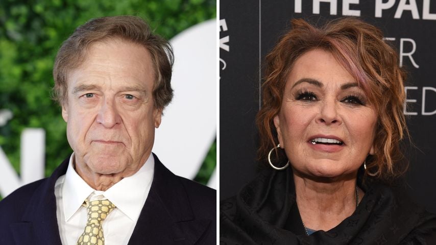 "Roseanne"-Stars wiegen heute insgesamt 135 Kilo weniger