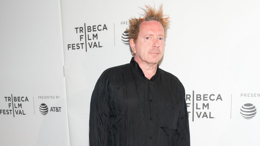 John Lydon 2017