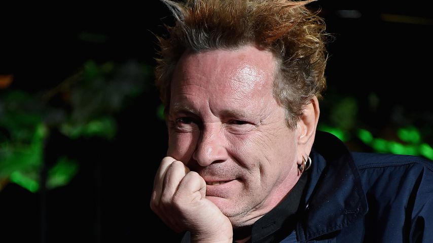 Musiker John Lydon