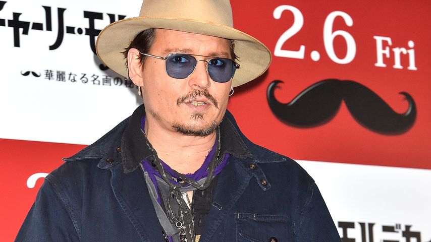Hundeschmuggel: Muss Johnny Depp in den Knast?