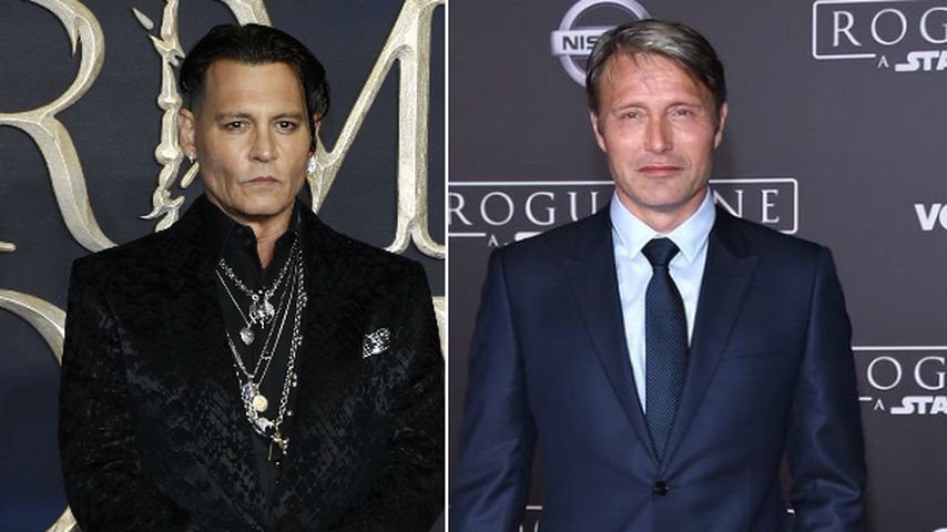 "Phantastische Tierwesen": Er soll Johnny Depp ersetzen!
