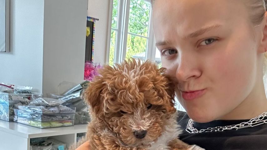 Jojo Siwas Welpe ist nach zwei Monaten bei ihr gestorben