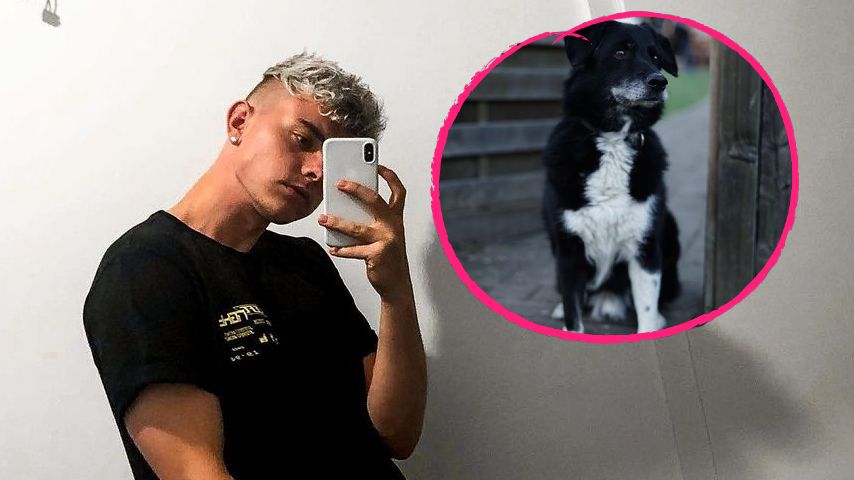 "Pass auf dich auf, Bro": Jonas Ems' Hund Dali ist gestorben
