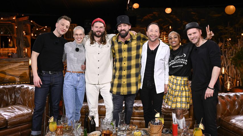 Der "Sing meinen Song"-Cast 2021