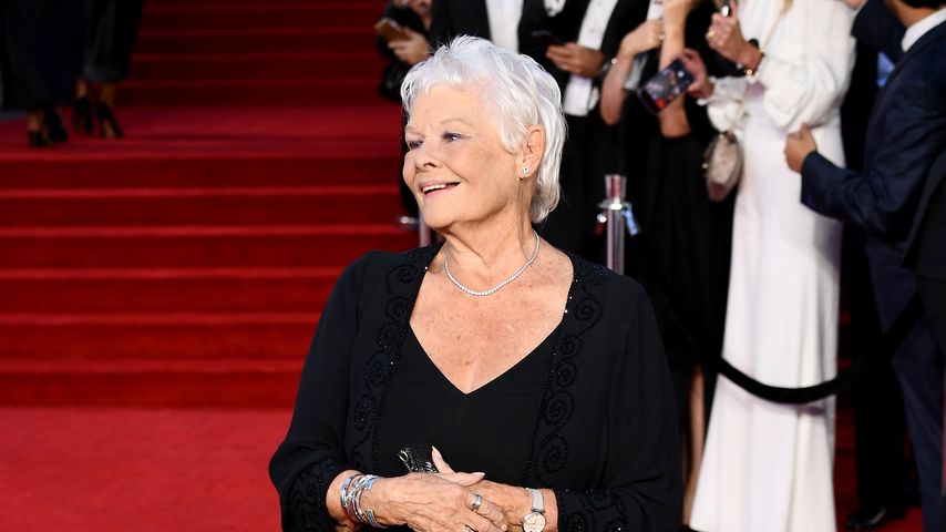 Judi Dench, Schauspielerin
