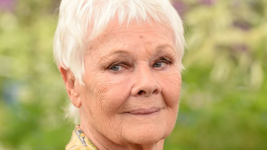 Schwere Augenerkrankung: Judi Dench kann kaum noch sehen
