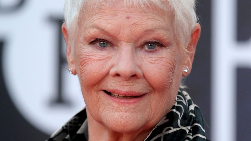 Wegen schweren Sturz: Judi Dench bat ihren Papagei um Hilfe