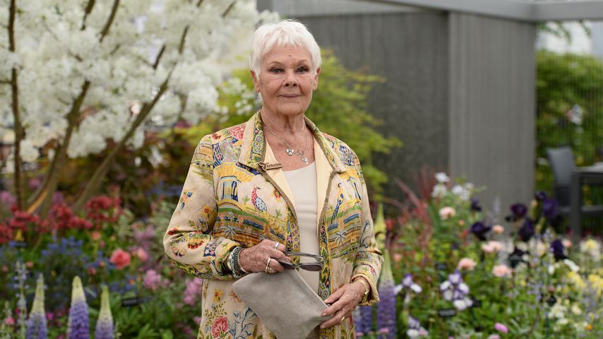 Judi Dench im Mai 2019 in London