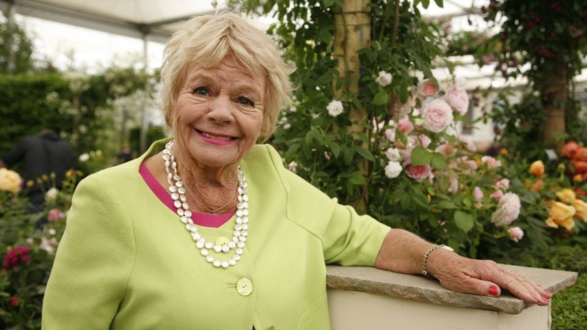 Judith Chalmers bei der Chelsea Flower Show in London, 2015