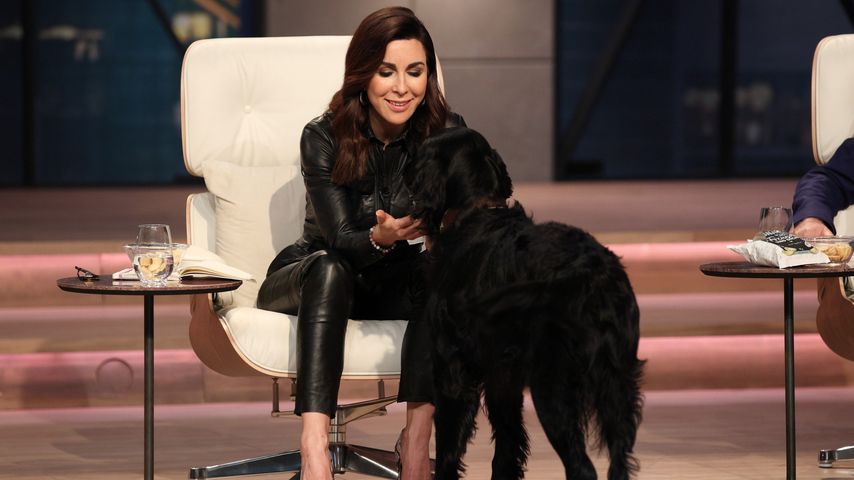 Judith Williams und Moritz Röschls Hund Benni bei "Die Höhle der Löwen"