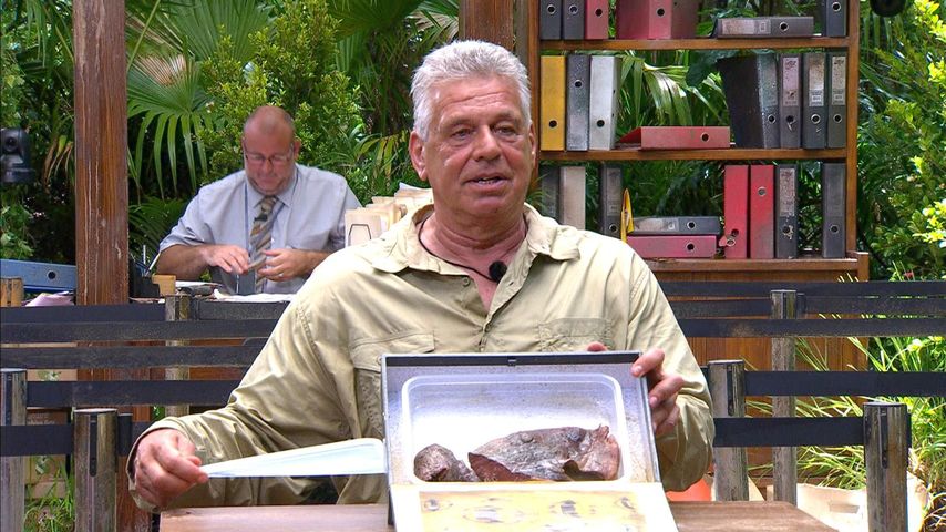 Jürgen Hingsen, Dschungelcamp-Teilnehmer, 2025