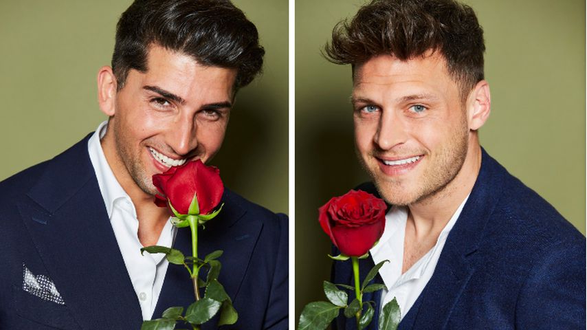 Julian größter Bachelorette-Konkurrent: So findet's Dominik