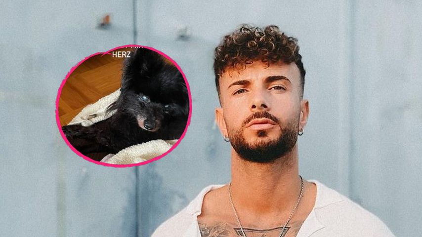 "Love Island"-Hottie Julian trauert um seinen Hund Giacomo