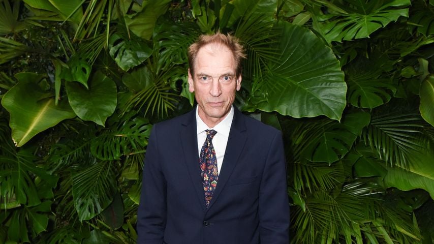 Julian Sands, Filmstar