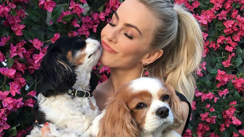 Julianne Hough trauert: Ihre Hunde starben am selben Tag!
