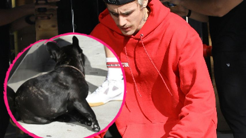 Streichelt herrenlosen Hund: So tierlieb ist Justin Bieber!