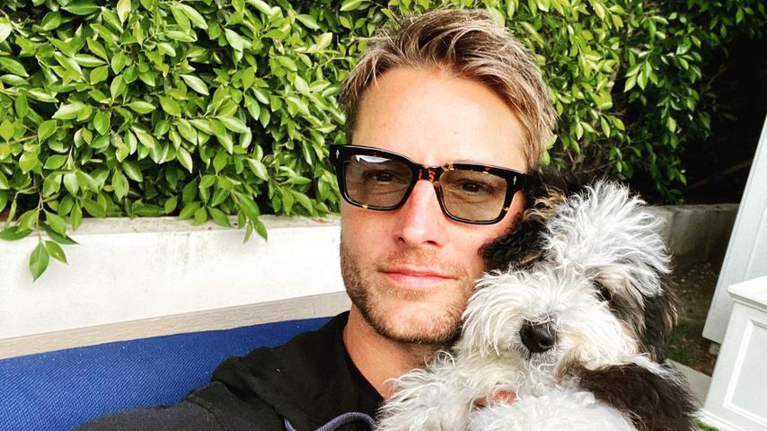 Justin Hartley, Schauspieler