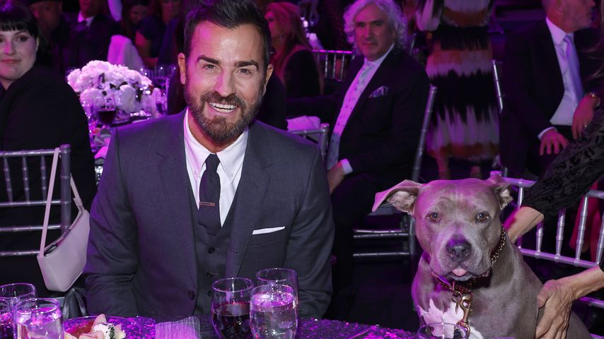 Justin Theroux mit seinem Hund Kuma, Dezember 2022