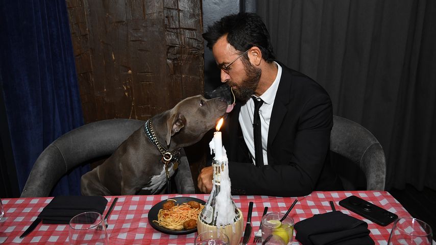 Justin Theroux mit seinem Hund Kuma