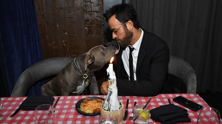 Wie "Susi & Strolch": Justin Theroux futtert Nudeln mit Hund