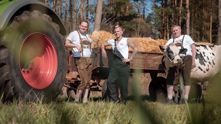 Bauern-Band: Arbeiten die Crazy Farmers an weiteren Songs?