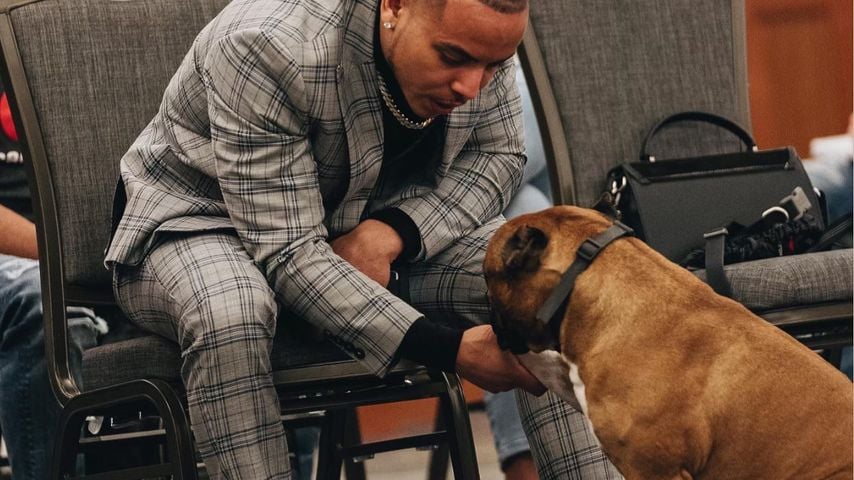 Gab Hund die Schuld: Influencer bekommt 75 Jahre für Mord