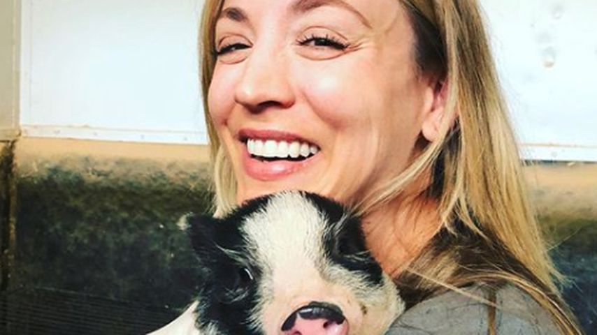 Kaley Cuoco mit einem ihrer Mini-Schweine, April 2020