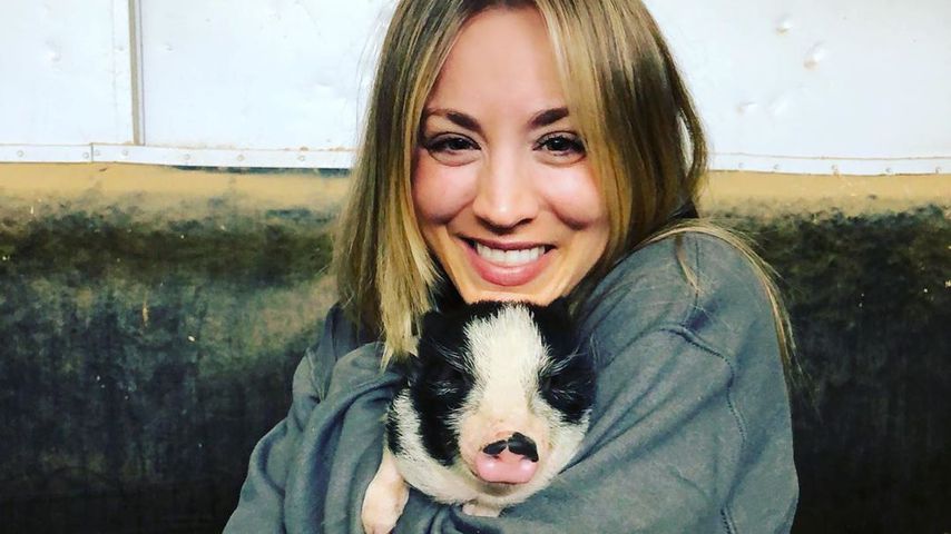 Kaley Cuoco mit einem ihrer Mini-Schweine, April 2020