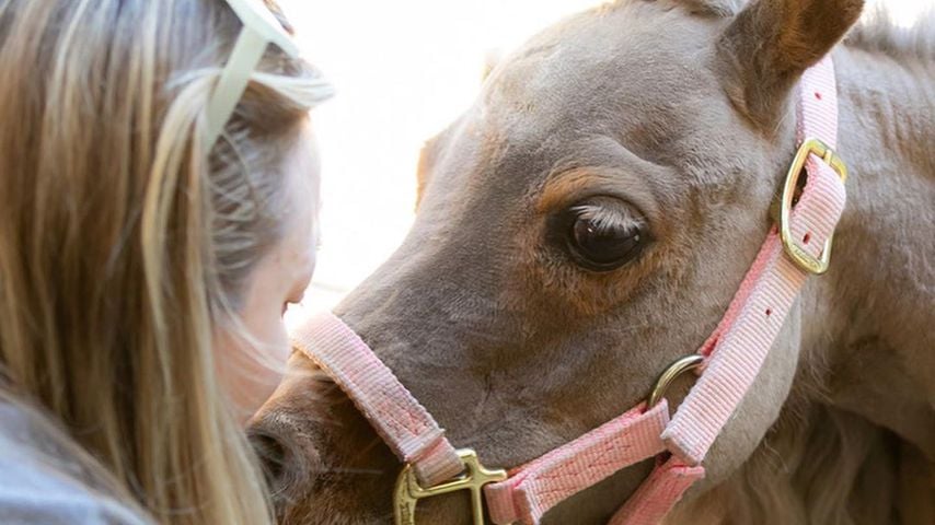Kaley Cuoco mit ihrem Zwergpony Fiona