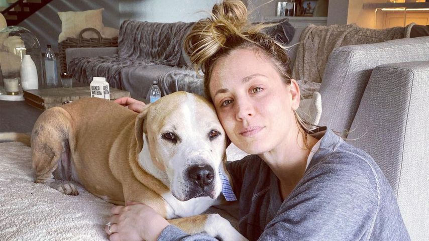 Kaley Cuoco und ihr Hund Norman
