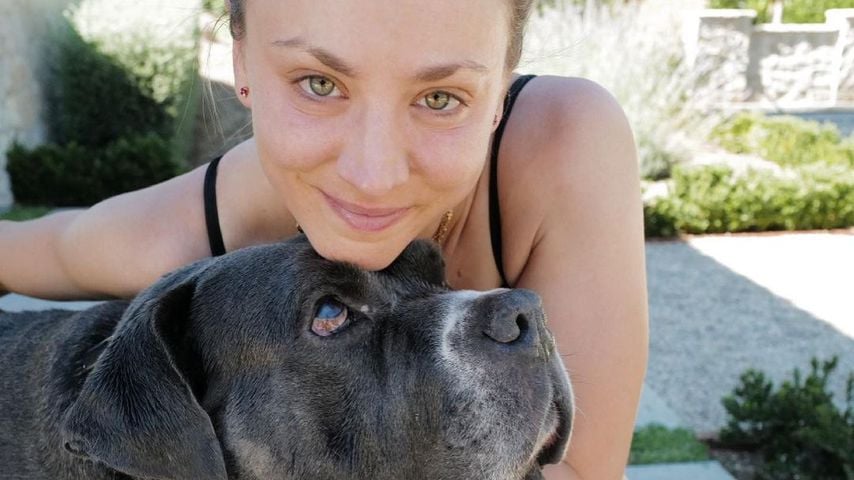 Nach Trauer um ihren Hund: Kaley Cuoco hat neuen Vierbeiner