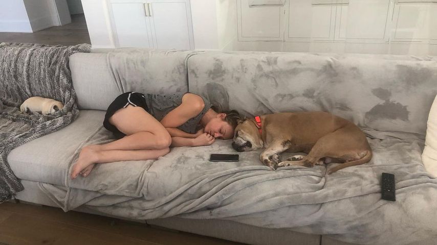 Kaley Cuoco mit ihrer verstorbenen Hündin Petunia