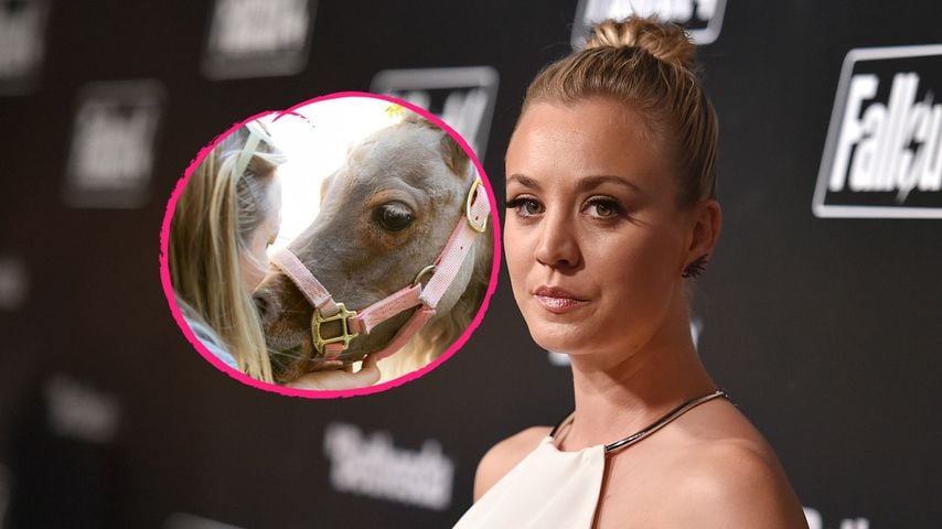 Nach Schmerzen: Kaley Cuocos Zwergpony Fiona ist gestorben