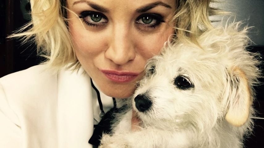 Schwerer Abschied: Kaley Cuoco trauert um ihre Hündin Ruby