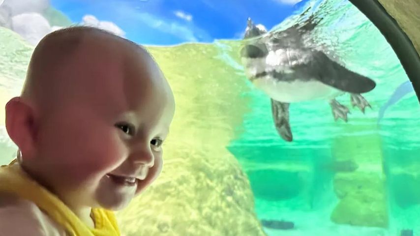 Kaley Cuocos Tochter Matilda vorm Aquarium, November 2023