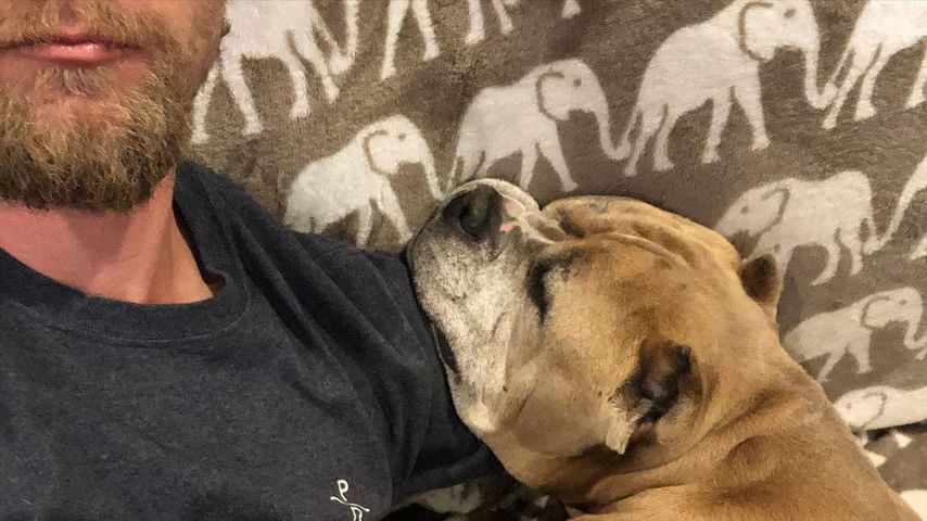Karl Cook mit seinem verstorbenen Pitbull Petunia