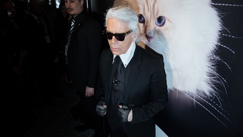 Karl Lagerfeld: Millionen-Erfolg für seine Katze Choupette