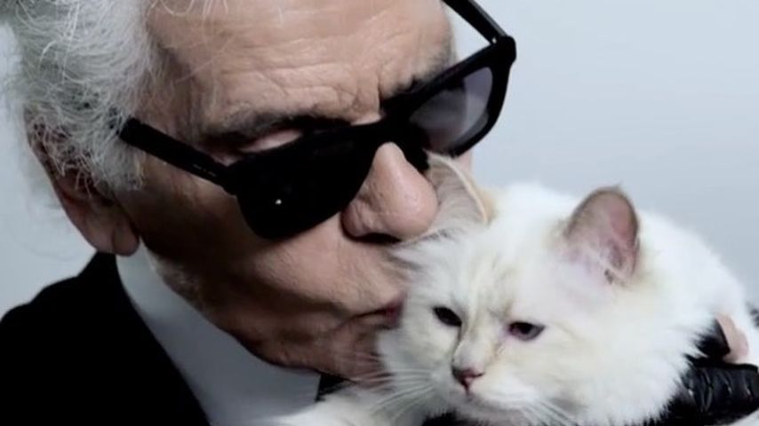 Karl Lagerfeld mit seiner Katze Choupette