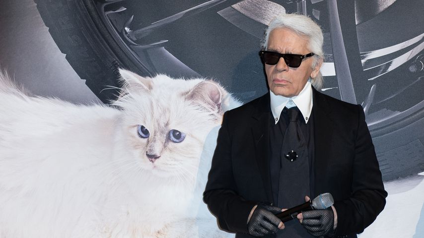 Nach Trauer: Choupette Lagerfeld zurück – mit Insta-Profil