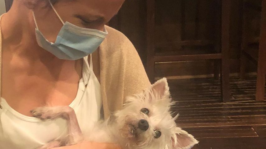 Kate Beckinsale trauert um ihre verstorbene Hündin Ingrid