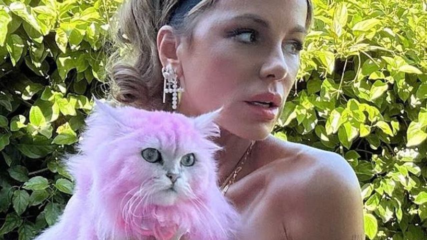 Kate Beckinsale mit einer Katze, Juli 2025