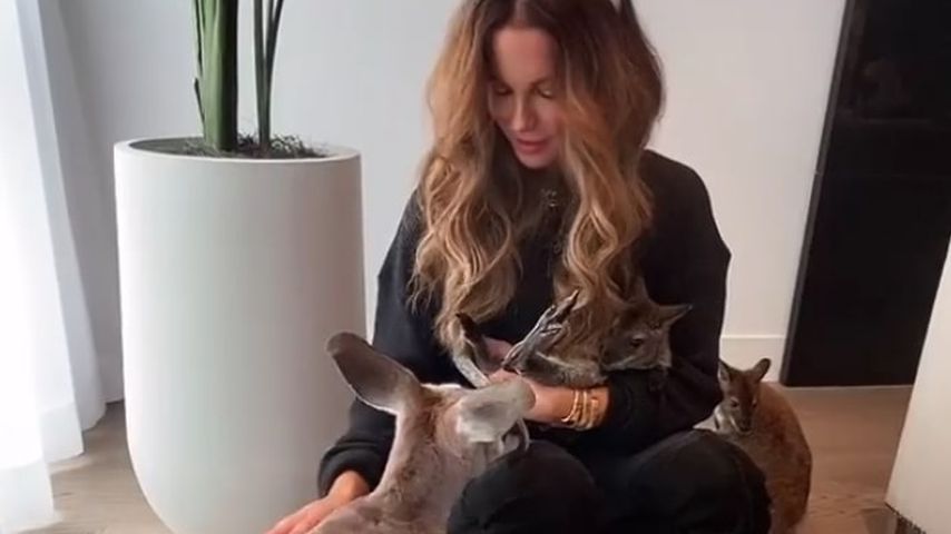 Wegen Känguru-Besuchs: Kate Beckinsale erntet Kritik im Netz