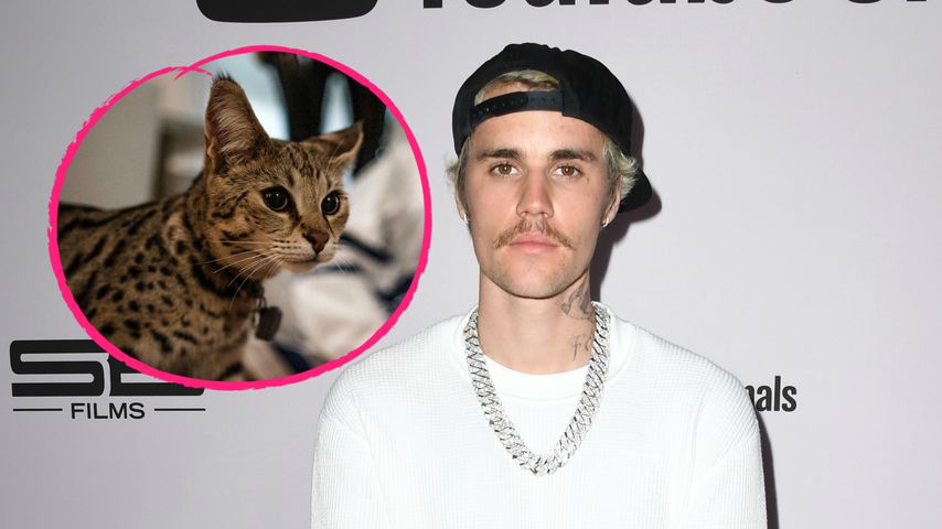 Verloren geglaubt: Justin Biebers Katze ist wieder zu Hause!