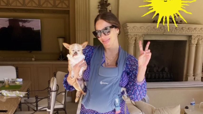 Witzig: Katharine McPhee posiert mit Baby und Chihuahua