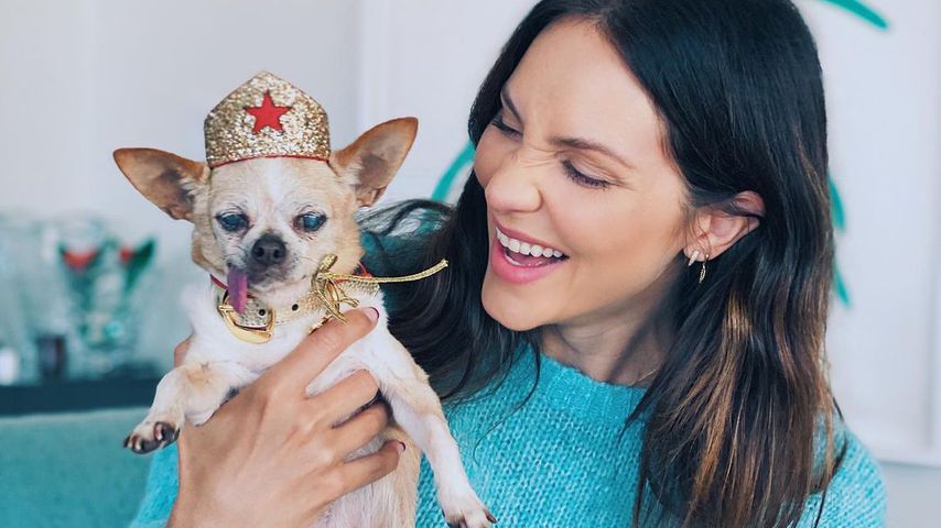 Katharine McPhee mit ihrem Hund