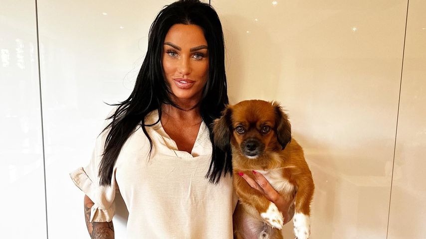 Katie Price, Reality-TV-Bekanntheit