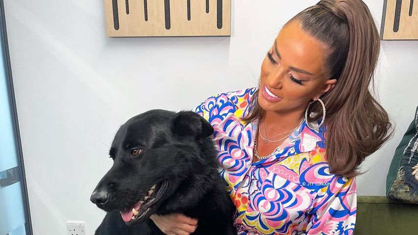 Sechs schon tot: Weiteres Haustier von Katie Price gestorben