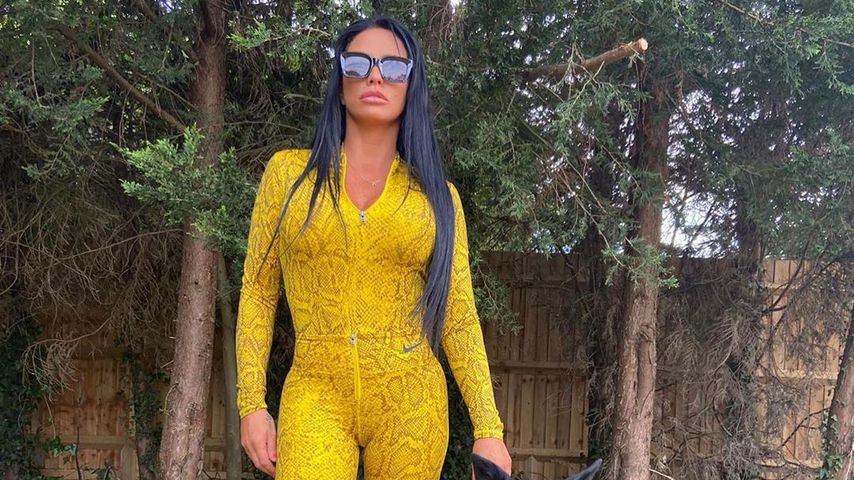 Katie Price und ihr Hund im Jahr 2020